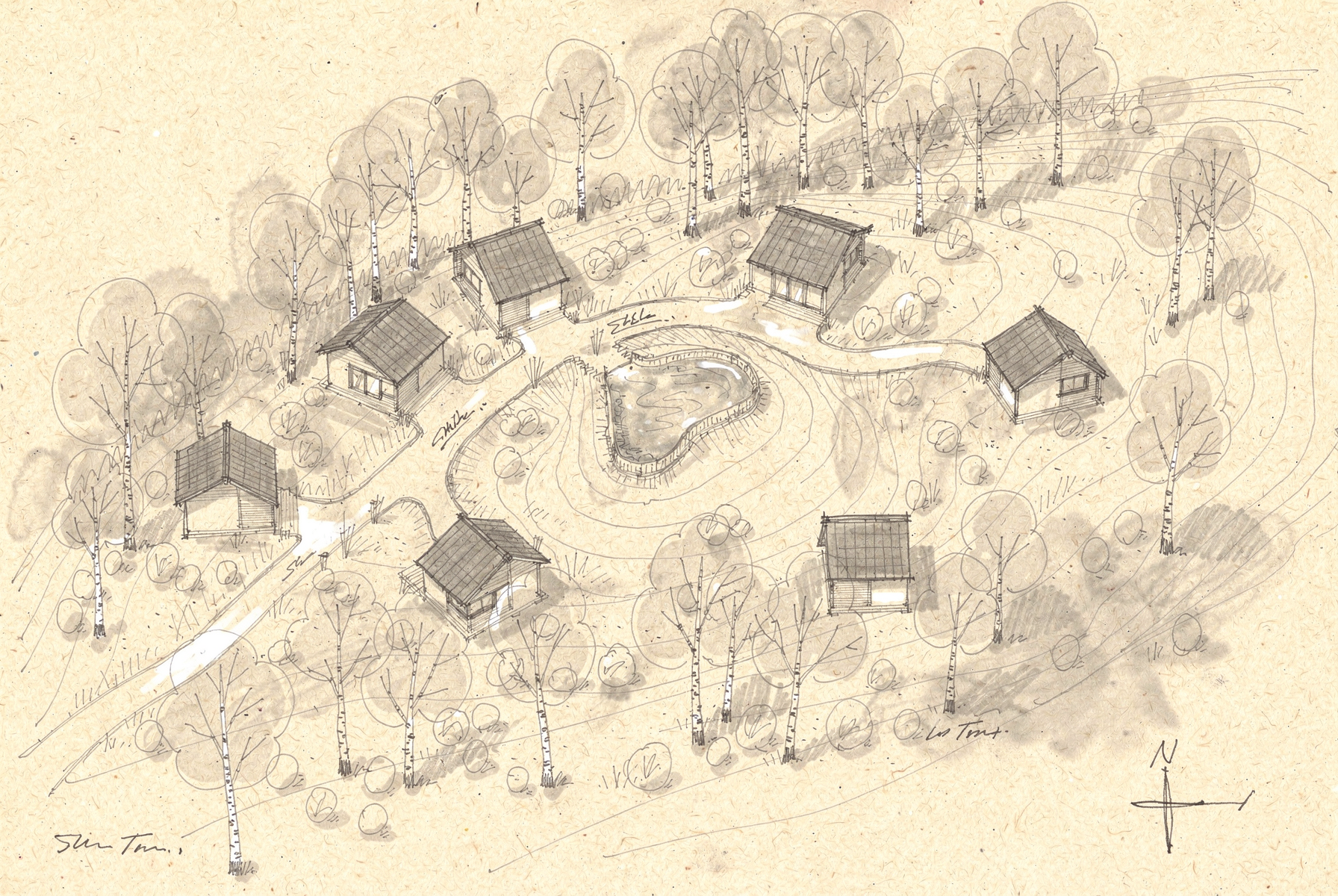 Graphite site sketch — eight lodges scattered through the birch forest around the onsen, contours and access path